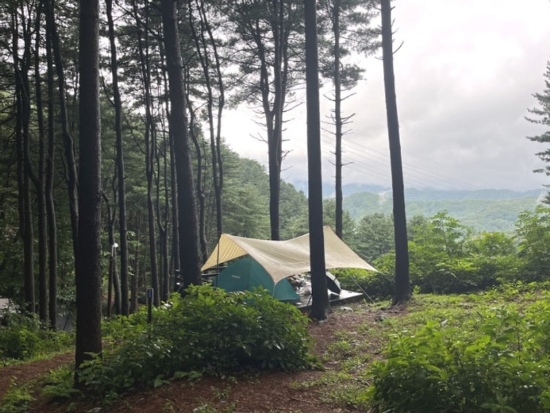 남양주 축령산 자연휴양림 야영장 명당 306번 데크 예약 우중...
