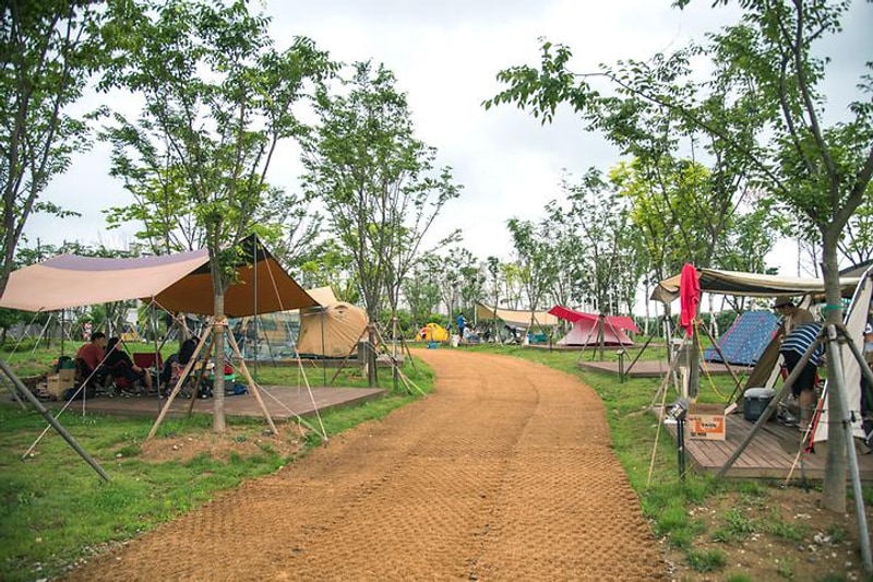 맑음터공원 캠핑장 대표 사진