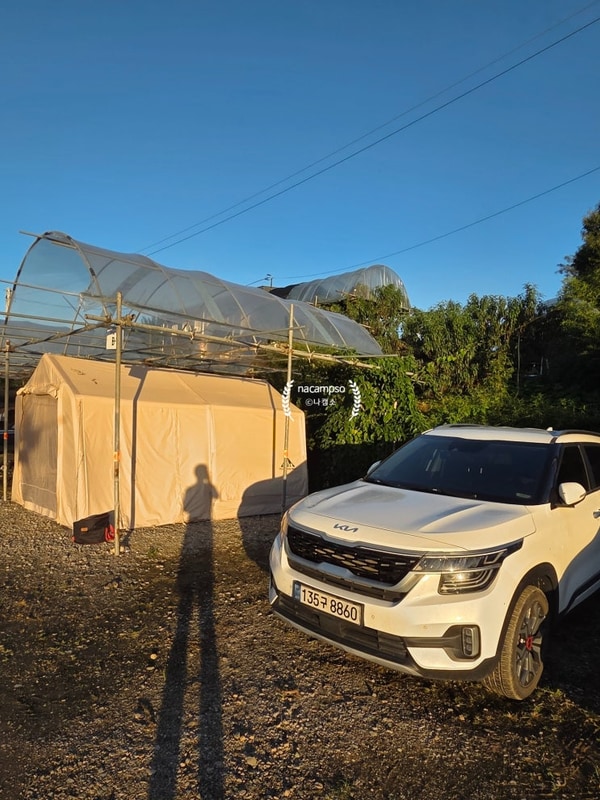 평택 안성 애견동반 가능한 포도길 캠핑장