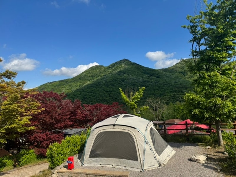 빛났던 고창캠 (선운산국민여가캠핑장 T4-7 사이트)