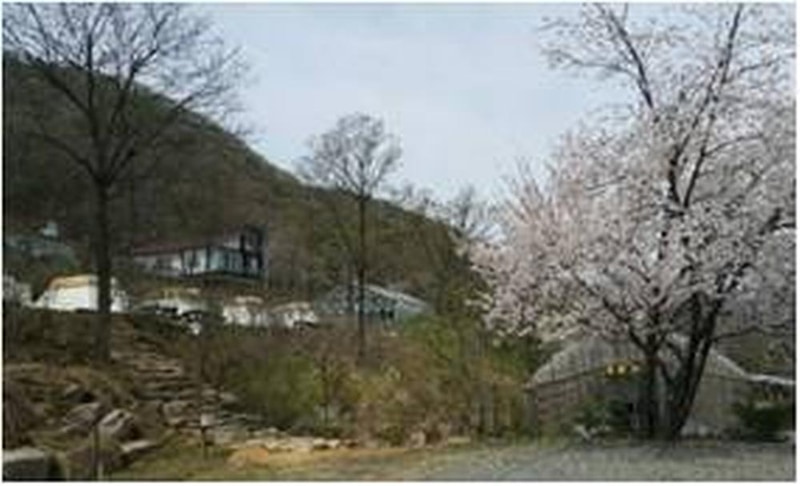 청천수목원 야영장 시설 사진 1