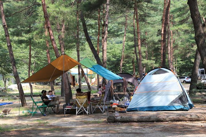 리버힐즈 캠핑장(푸른농원) 대표 사진