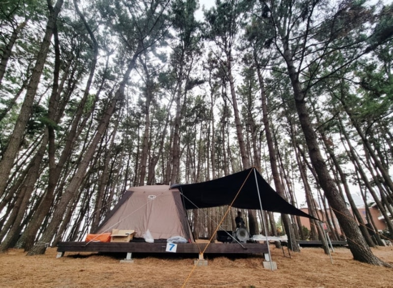 #22 용두해수욕장 숲속야영장