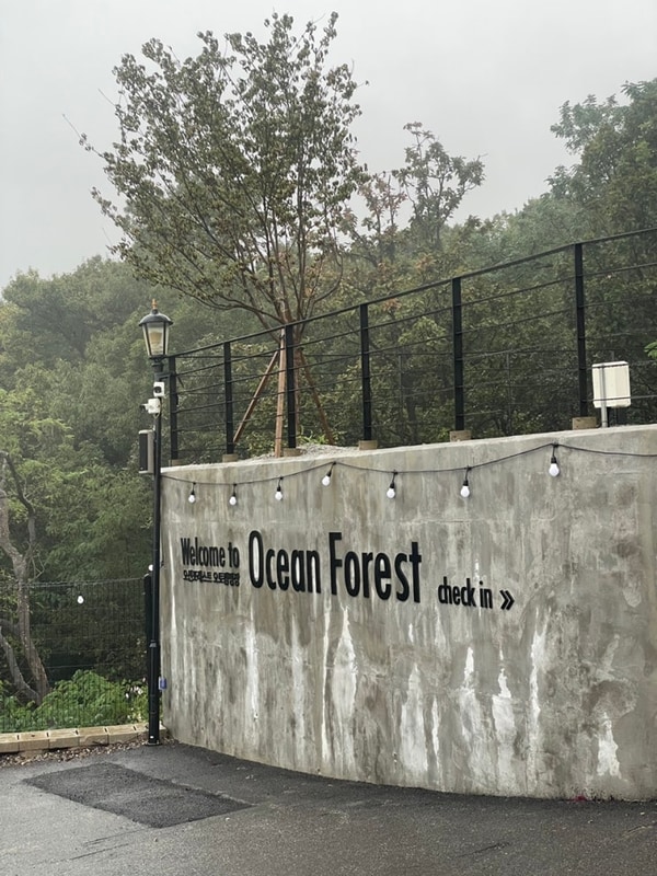 [캠핑일기] 강화도 오션포레스트 캠핑장 C1 사이트