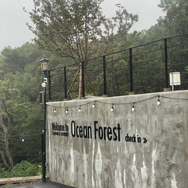 오션 포레스트 캠핑장 대표 사진