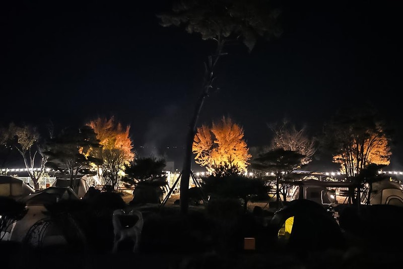 FLOW 11 야영장 시설 사진 7