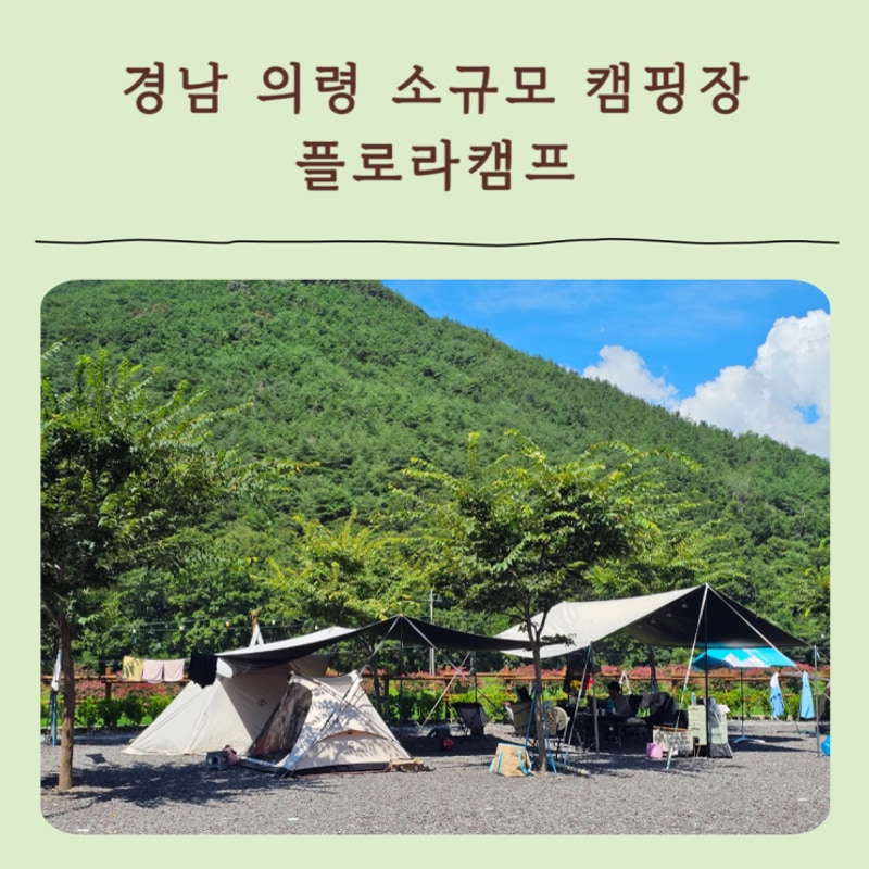 플로라캠프, 아이랑 물놀이장 있는 소규모 의령캠핑장