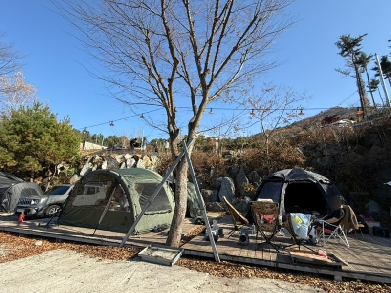 가평 무릉도원캠핑장 애견 동반 가능 명당 알려줌