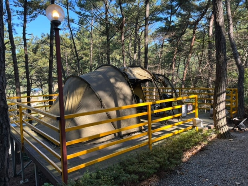 태안 오토캠핑장 - 올레유 캠핑장 40번 사이트 (첫 번째 캠핑...