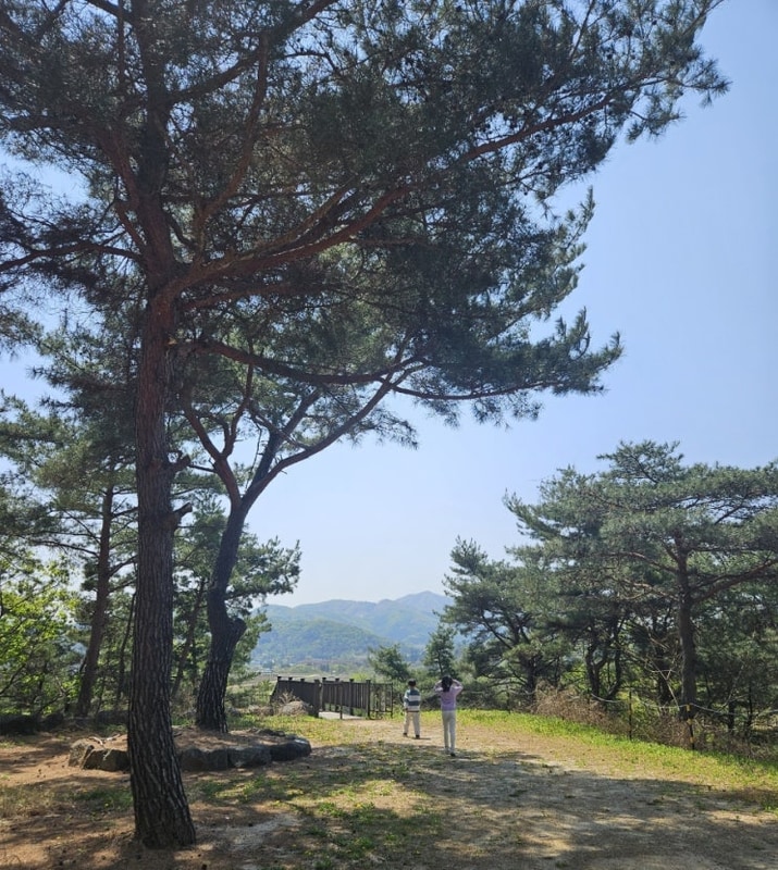 포천 예담가족캠핑장 후기 – 4월 마지막 주 가족 캠핑