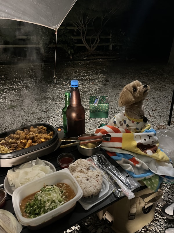 [봉화캠핑] 경상도 오토캠핑 애견동반 청량산나무네숲 캠핑장...