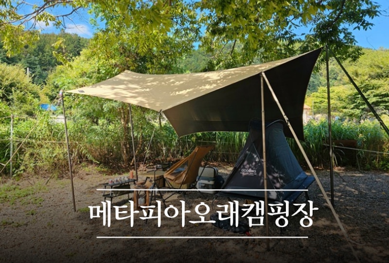 [가평 메타피아 오래캠핑장] 초록 초록 자연과 한걸음 가까워진...