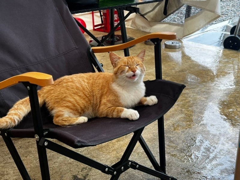 2025, 천안 1박 2일 여행 (천안 디디글램핑)