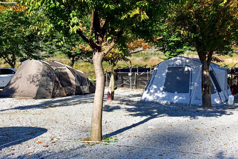 월성오토캠핑장 시설 사진 1