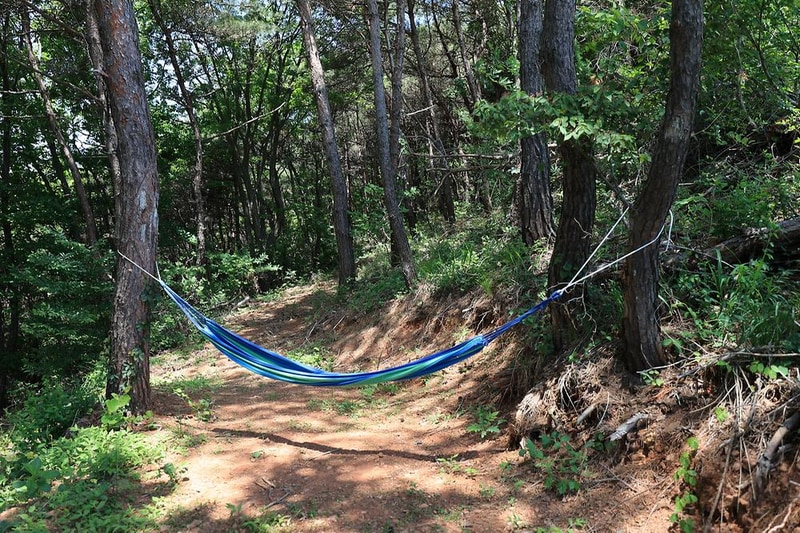 하버드카라반 시설 사진 15