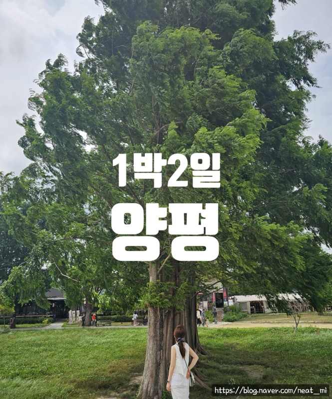 핫도그 더휴글램핑 스타벅스 더양평DT...