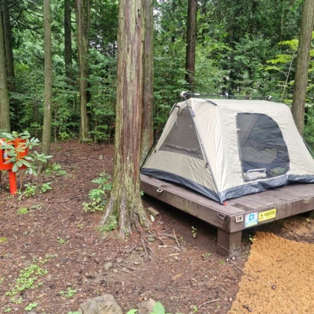 서귀포 자연휴양림 야영장 대표 사진