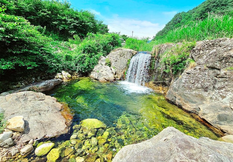 자작나무뜰 오토캠핑장 시설 사진 10