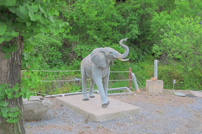 [여행기록] 강원도 평창 ‘코끼리마을캠핑장’ 과 계촌...