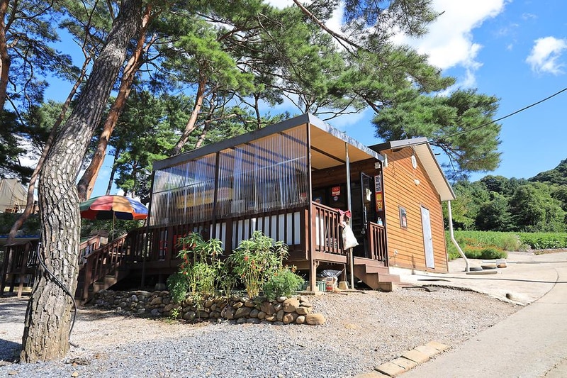 영월한반도캠핑장 시설 사진 19