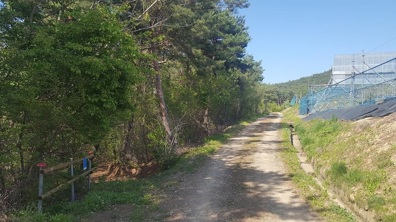 숲속의베리팜 시설 사진 9