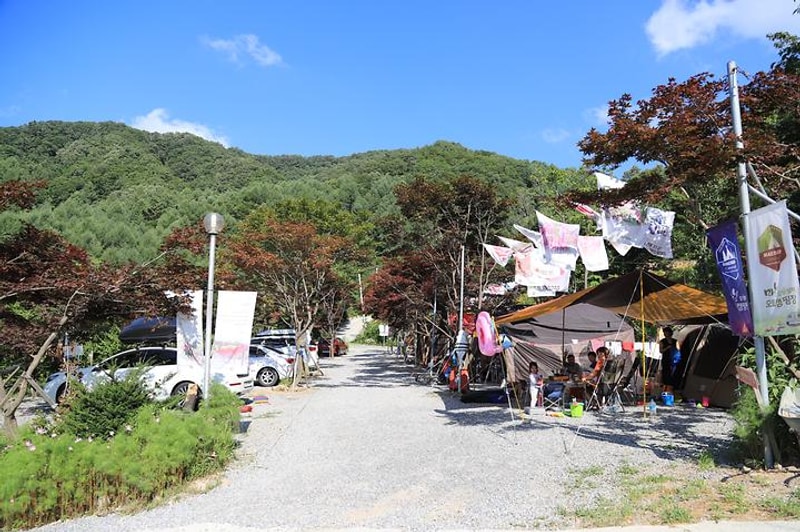 매봉힐링캠프 대표 사진