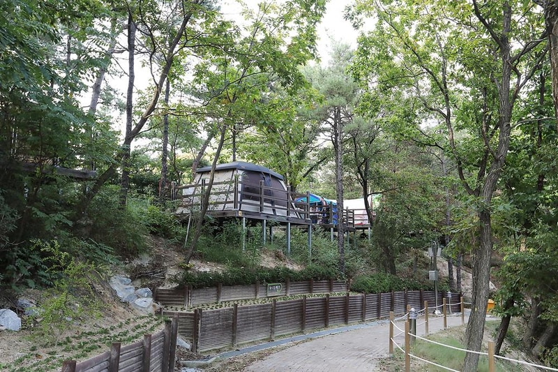 아산 영인산자연휴양림 숲속야영장 시설 사진 16