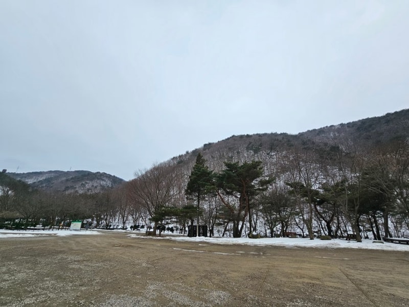 용현자연휴양림 야영장