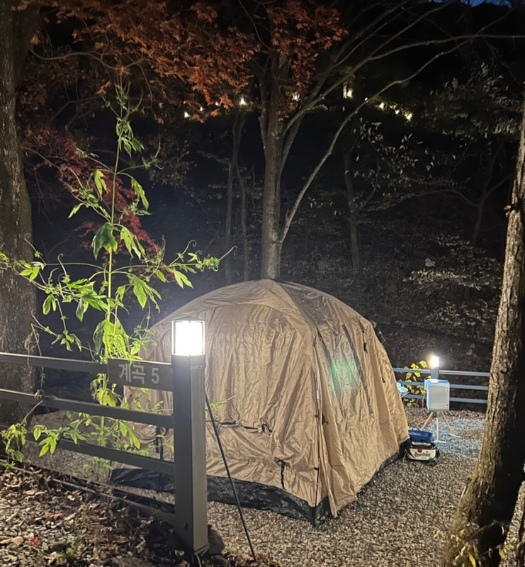 서울 근교 캠핑장 남양주 포레스트벨리캠프 내돈내산 방문...
