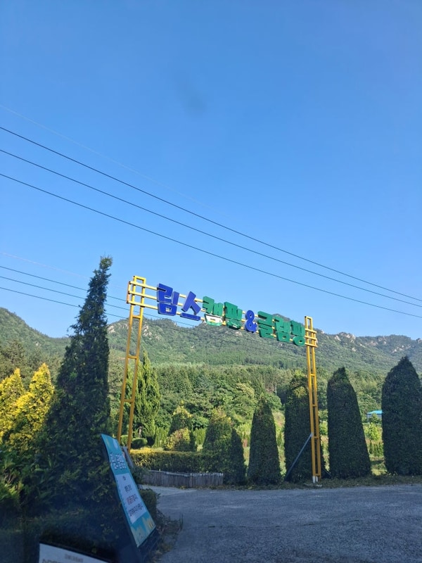 [강진 여행] 강진 림스 글램핑 / 사문로 98 카페