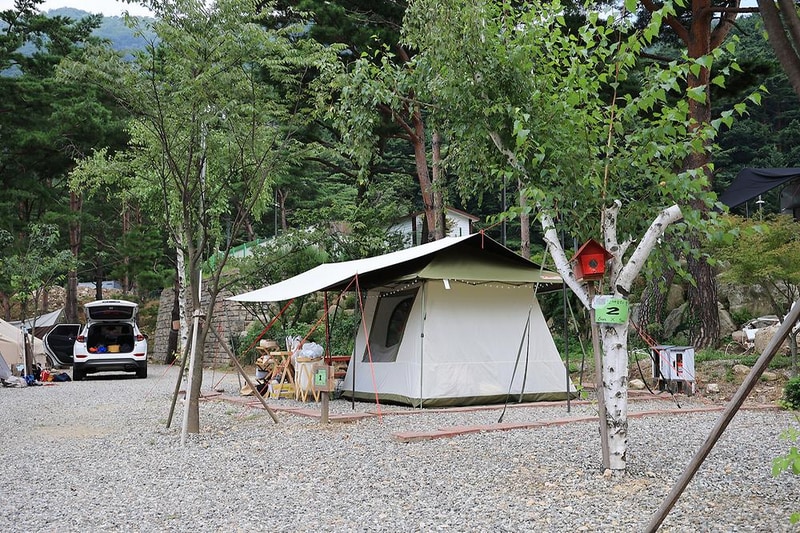 오색 산새소리캠핑장 시설 사진 8