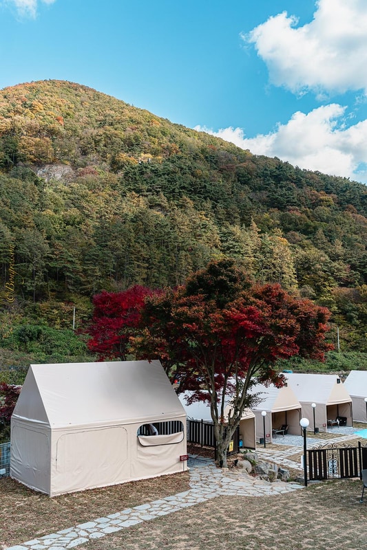 소휴 시설 사진 19