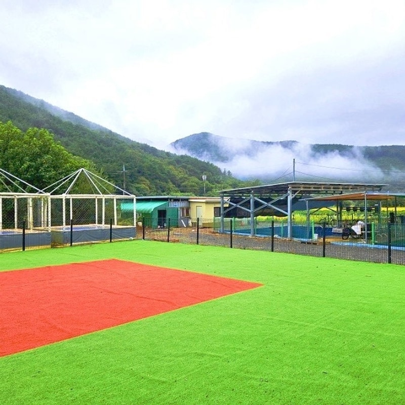 캠핑극혐하는 예비신랑 데리고 떠난 '청도 팜스토리' 캠핑장...