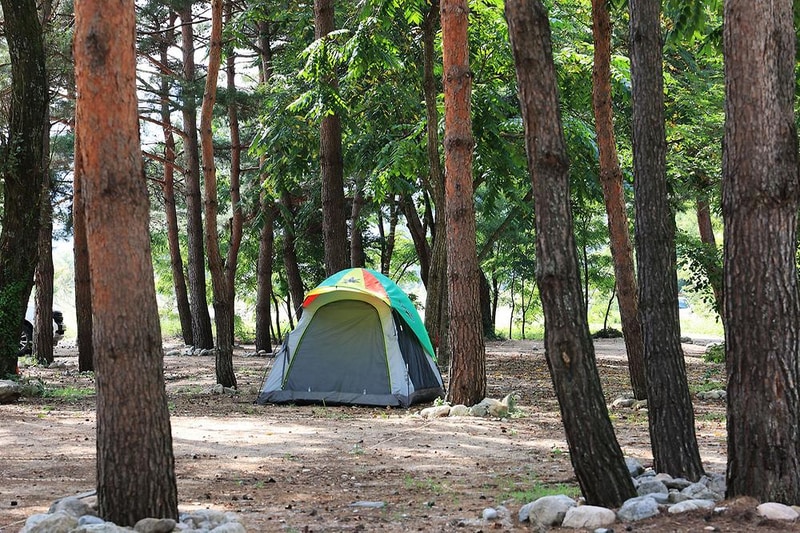 한계2리 솔밭야영장 시설 사진 21