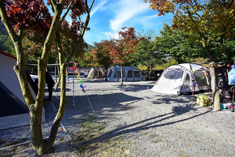 월성오토캠핑장 시설 사진 3