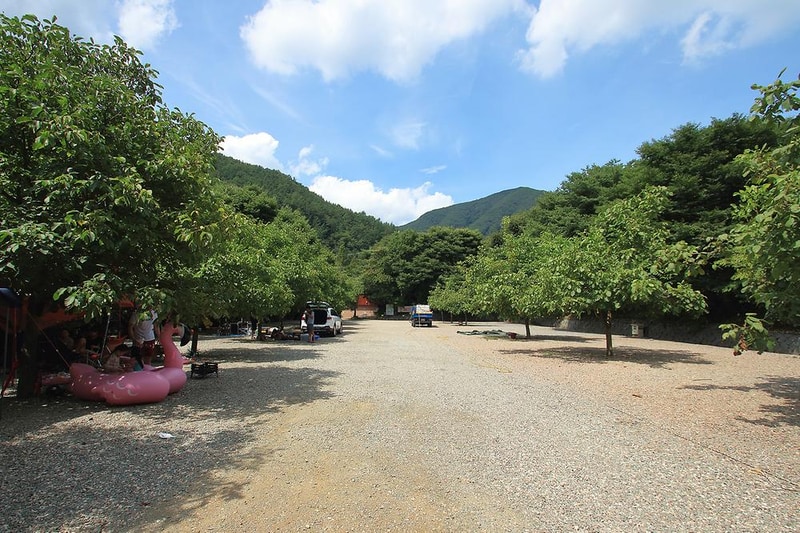 호두나무캠핑장 시설 사진 11