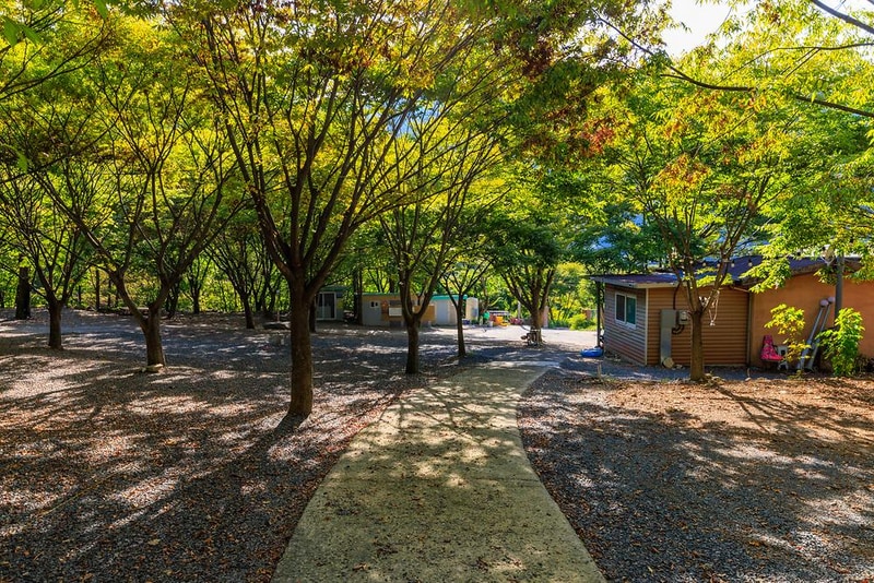 약초농원 캠핑장 시설 사진 16