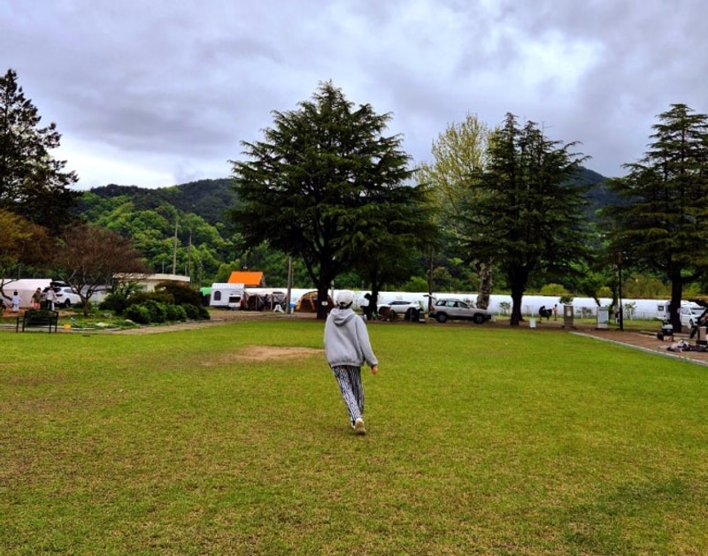 고령 캠핑장 추천 [안림딸기마을캠핑장] 잔디밭 넓은 대구 근교...