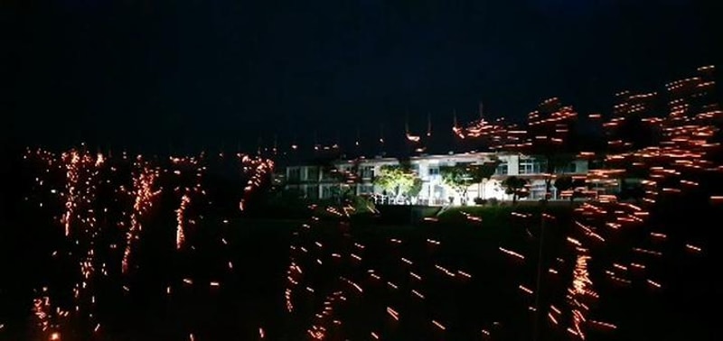 하냥살이 낙화놀이 대표 사진