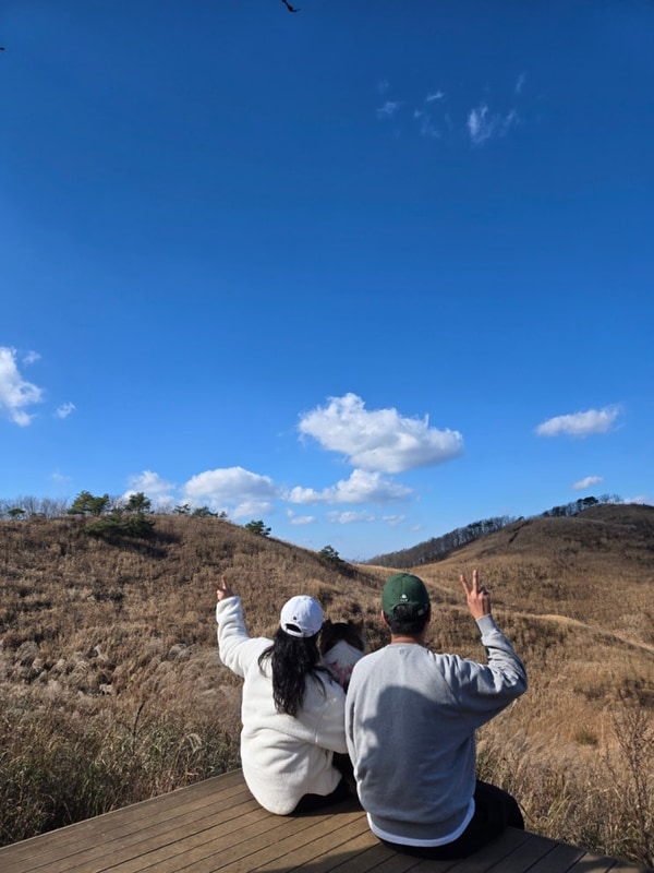 정선 애견동반 가능 캠핑장 '파인트리 캠핑장' 가을 캠핑 후기...