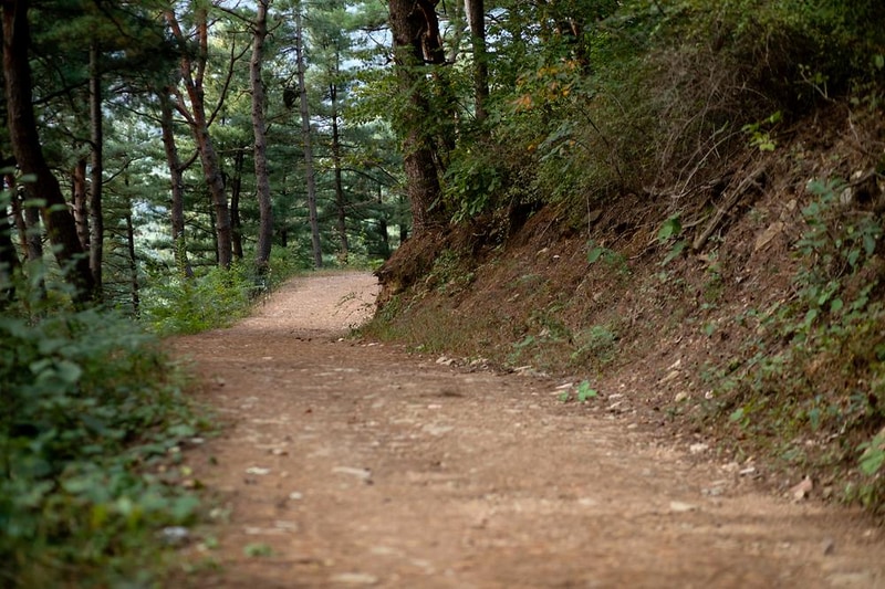 용문산 해와달 시설 사진 4