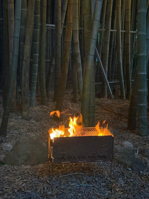 대나무 숲이 매력적인 담양 대나무골 캠핑장 후기