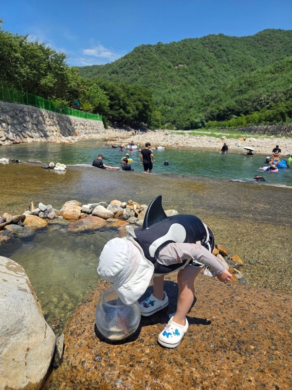 청도 조은자리캠핑장 평상대여