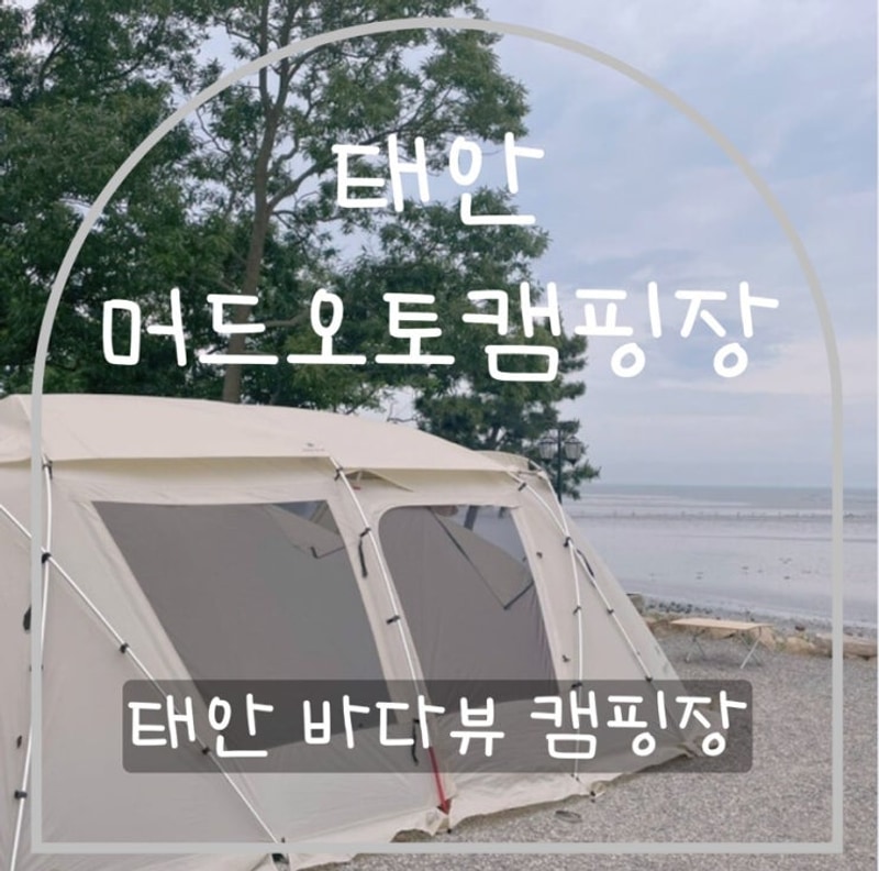 [태안머드 오토캠핑장] 두 번 방문한 이유! 진짜 명당자리는...