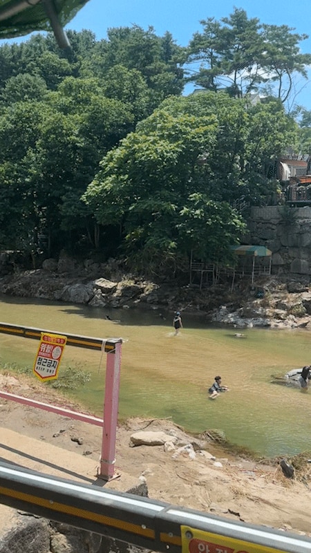 가평 애견동반 글램핑 물놀이 용수그린랜드 내돈내산