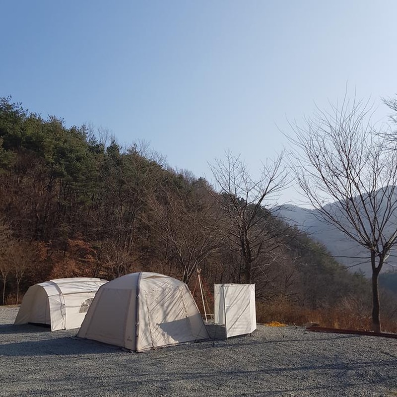 숲에안기다 대표 사진