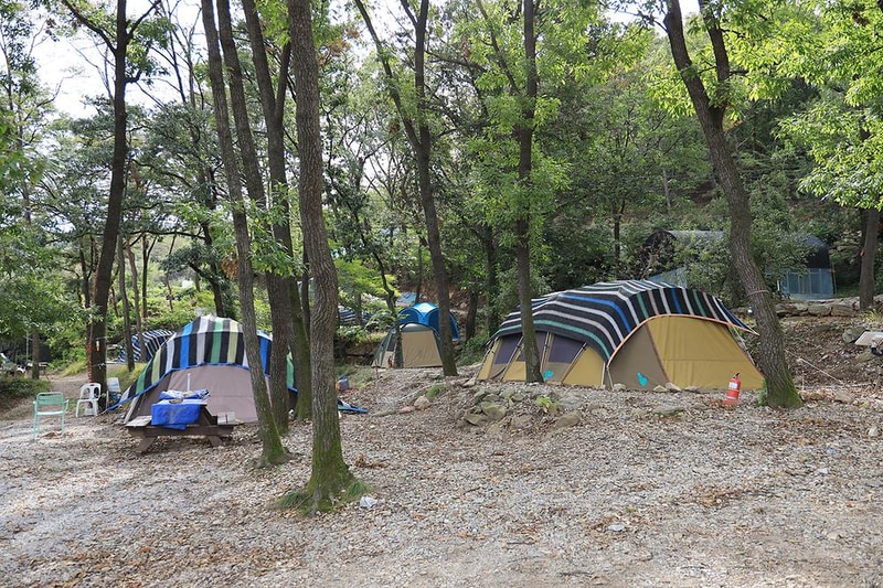 뮤즈캠핑장 시설 사진 15