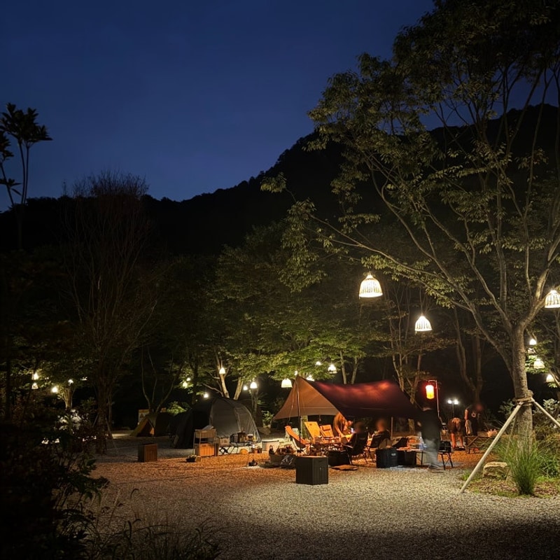 온온 | 51번째 캠핑 : 바로 앞 물놀이 가능한 계곡 스팟 소규모...