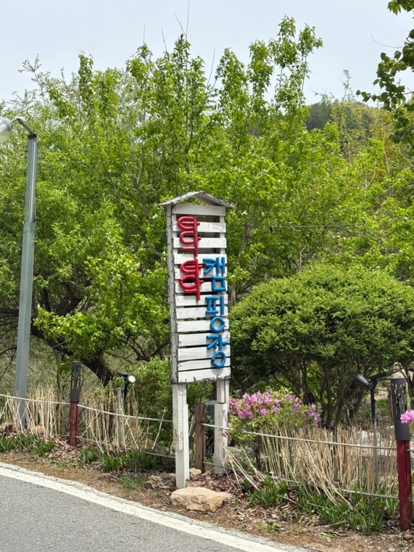 괴산 타닥타닥 캠핑장 후기