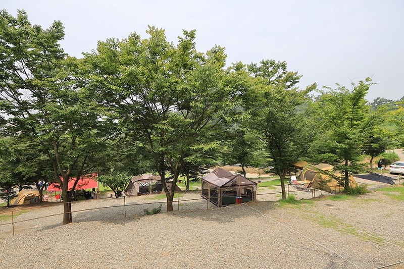 고래숲관광농원 시설 사진 7